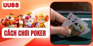 Cách Chơi Poker | Từ Tân Thủ Trở Thành Cao Thủ Sau 3 Bước