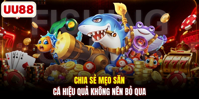 Chia sẻ mẹo săn cá hiệu quả không nên bỏ qua