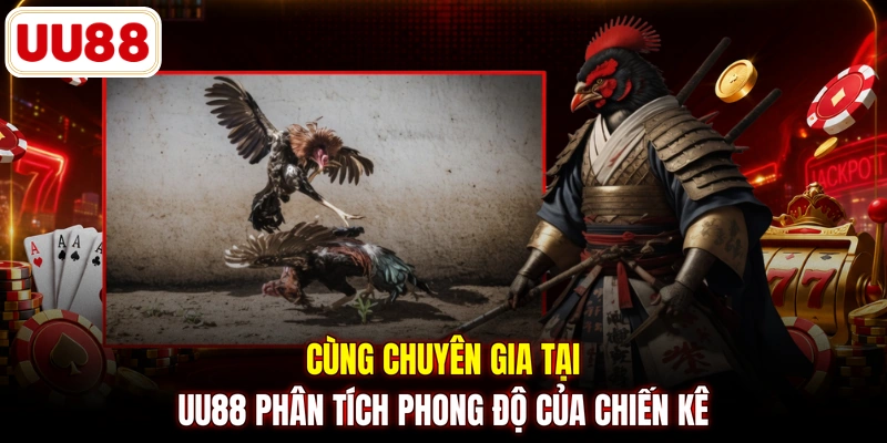 Cùng chuyên gia tại UU88 phân tích phong độ của chiến kê