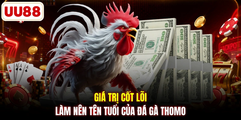 Giá trị cốt lõi làm nên tên tuổi của đá gà Thomo