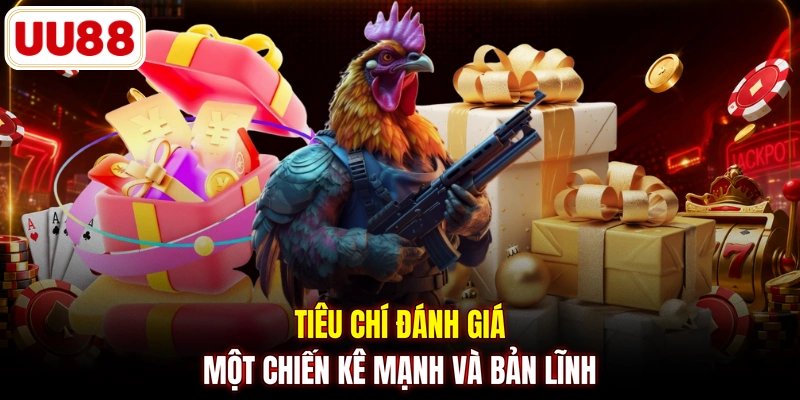 Tiêu chí đánh giá một chiến kê mạnh và bản lĩnh